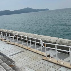 2025年　色々と初‼️