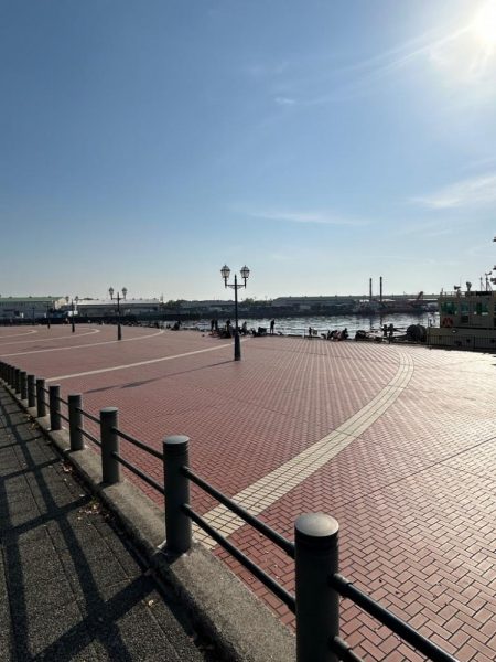 乗っ込みヘチ釣り