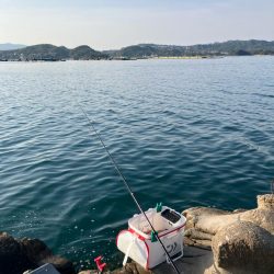 磯マダイカゴ釣り