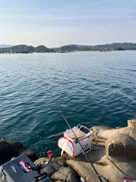 磯マダイカゴ釣り