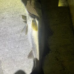 良い流れから出た2本