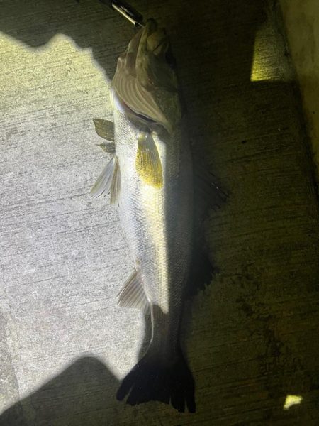 良い流れから出た2本