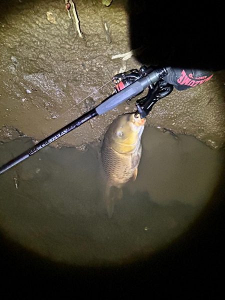 ボトムのカーピング！