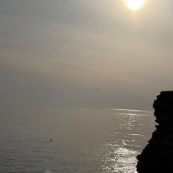 久々のライトゲーム