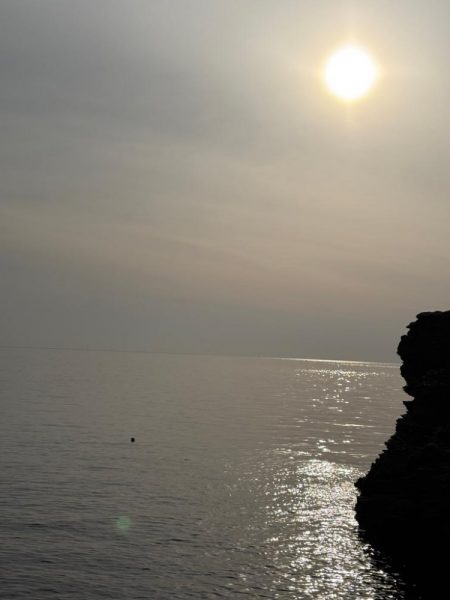 久々のライトゲーム