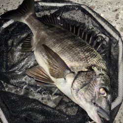 ヘチってきました