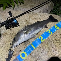 淀川ブリームゲーム3