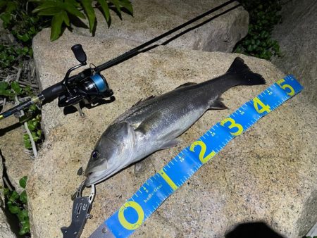 淀川ブリームゲーム3