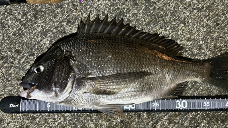 テンションフォール