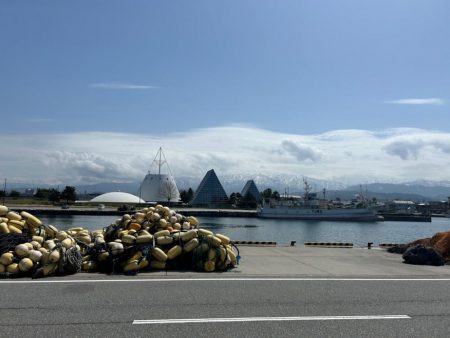 魚津港フカセ 過去イチサイズ揃う