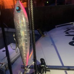 ヒラマサキャスティング