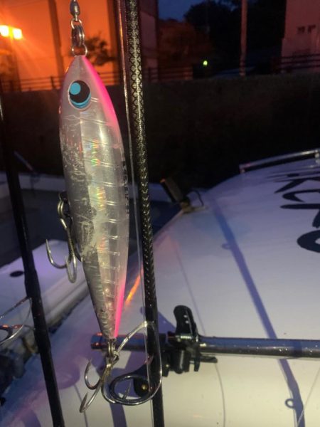 ヒラマサキャスティング