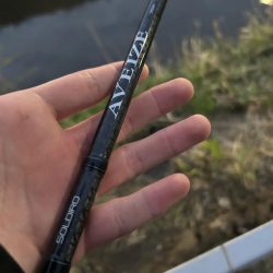 ナマズandコイ！