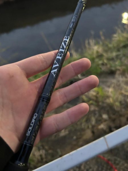 ナマズandコイ！