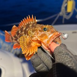 ボートメバリング！