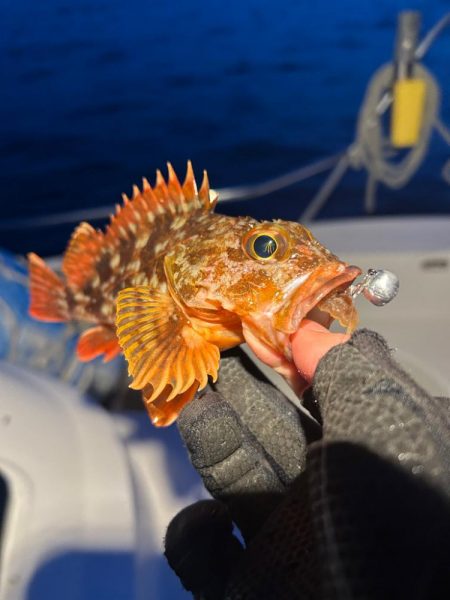 ボートメバリング！