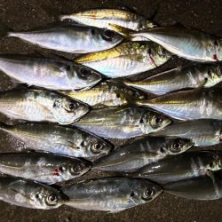 多少の雨なら行く！