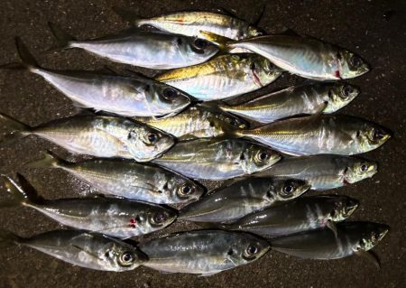 多少の雨なら行く！