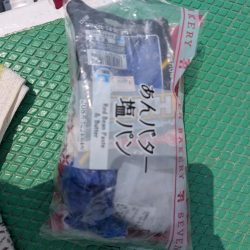 清掃活動：シマアジ五目