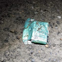 清掃活動：チニング