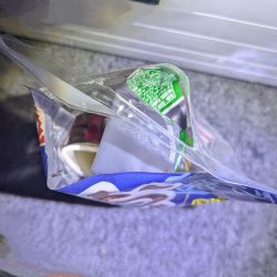 清掃活動：水温12℃