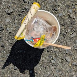 清掃活動：寒すぎた:;((•﹏•๑)));…