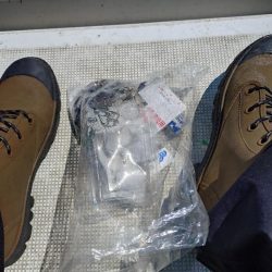 清掃活動：キス調査