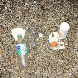 清掃活動：2週連続チヌゲット！