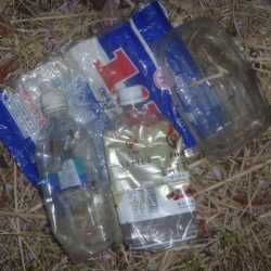 清掃活動：4月の淡水魚