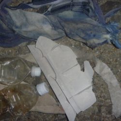 清掃活動：4月のバス釣り