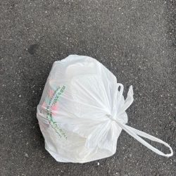 清掃活動：デカアジ釣れました