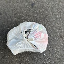 清掃活動：アジ、セイゴ渋いです