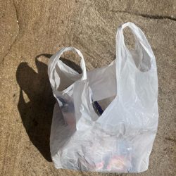 清掃活動：磯マダイカゴ釣り