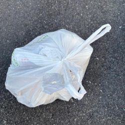 清掃活動：エビ撒きでハネとアジ好調です