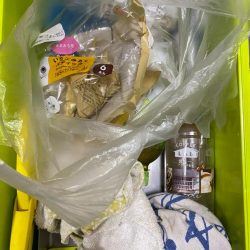 清掃活動：イカメタル＆バチコン