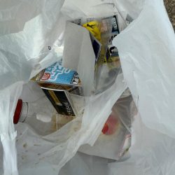 清掃活動：花見カレイ狙い