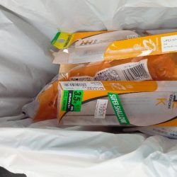 清掃活動：エギング