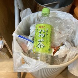 清掃活動：桜の乗っ込みチヌ！