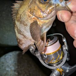 数は出るけど···