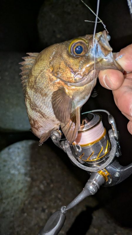 数は出るけど···