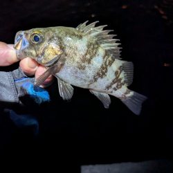 絶好のタイミング