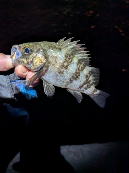 絶好のタイミング