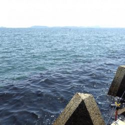 今シーズンのキス開幕！とは言い難い