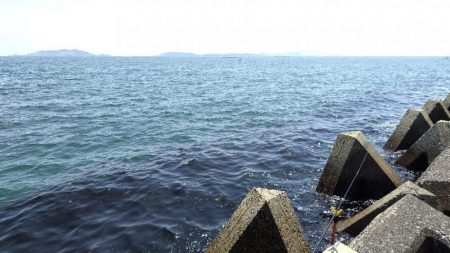 今シーズンのキス開幕！とは言い難い