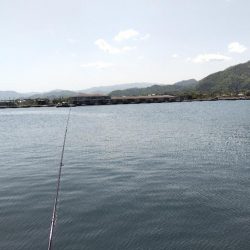 まだまだ釣れない