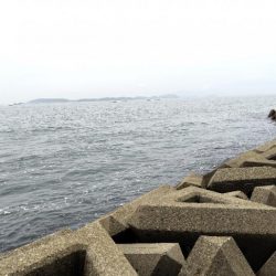 キス開幕。多分。