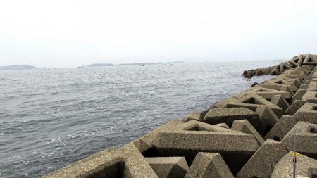 キス開幕。多分。