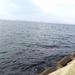 キスがいません。