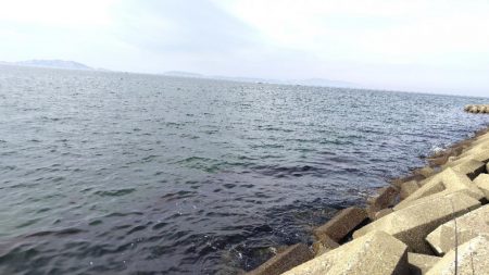 キスがいません。