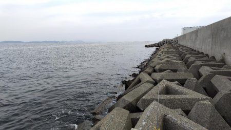 キスらしいアタリ